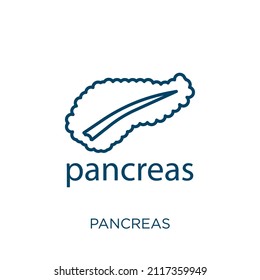 pancreas icon. Thin linear pancreas outline icon isolated on white background. Line vector pancreas sign, symbol for web and mobile