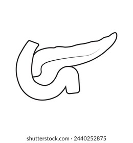 Pancreas icon vector illustration simple design
