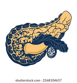 Pancreas illustration in vintage style