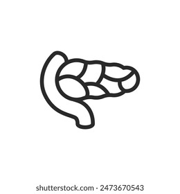 Páncreas, icono de estilo lineal. Ancho de trazo editable