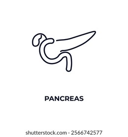 pancreas outline icon. Linear vector from health and medical concept. Thin line pancreas icon isolated on white background