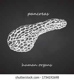 Pancreas. Realistic hand-drawn icon of human internal organs on chalkboard. Engraving art. Sketch style. Design concept for your medical projects post viral rehabilitation posters, tattoos. Vector