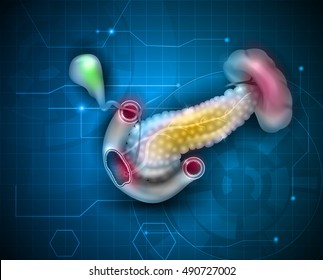 Pancreas and surrounding organs, gallbladder, small intestine and spleen detailed illustration on a scientific abstract background. 