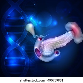 Pancreas and surrounding organs, gallbladder, small intestine and spleen detailed illustration  on a scientific abstract background. 