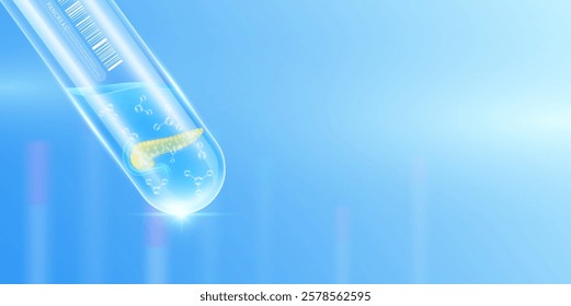 Pancreas transparent and molecule in glass test tube with empty space for text. Human internal organ anatomy sample science research experiment. Medical scientific concept. Banner vector.