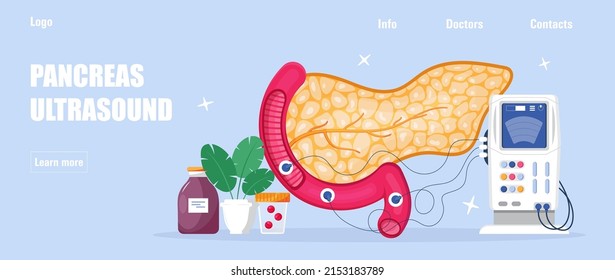 378 Pancreas enzymes Stock Vectors, Images & Vector Art | Shutterstock
