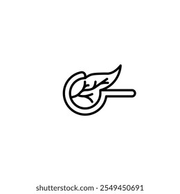 pancreas vector icon outlined style.