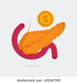 Pancreas vector illustration