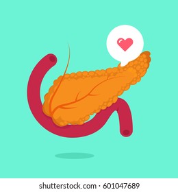 Pancreas vector illustration