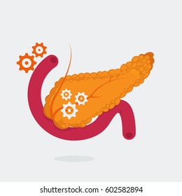 Pancreas vector illustration