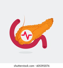 Pancreas vector illustration