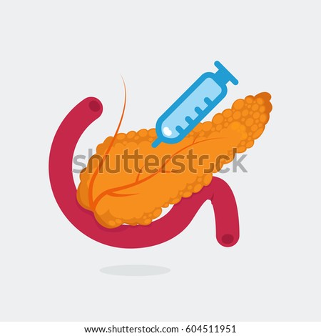 Pancreas vector illustration