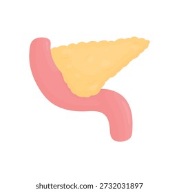 Pancreas vector illustration, human digestive organ, endocrine system, medical and healthcare concept