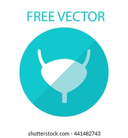 pancreatic free vector style flat