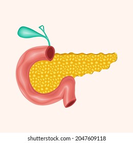 Pancreatitis Anatomy. pancreatic cancer. infographics. vector illustration in cartoon style.