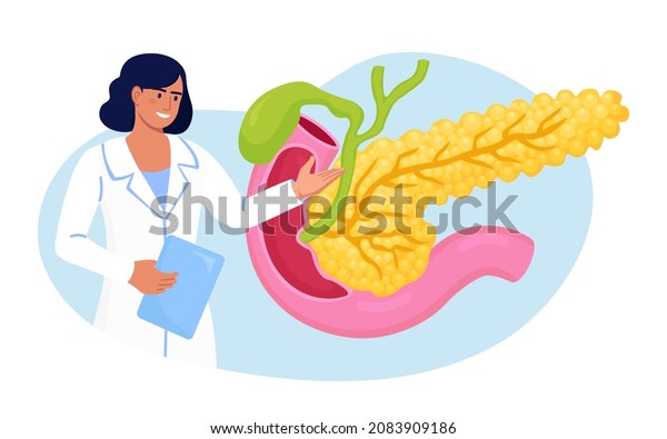 膵炎のコンセプト 消化器医は膵臓の炎症を診断する 医者が患者を診察する 消化器系疾患の治療 臓器がん ベクターイラスト のベクター画像素材 ロイヤリティフリー