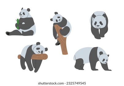 Panda 1 cute on a white background, vector illustration