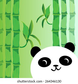 panda