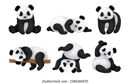 832 Panda down Images, Stock Photos & Vectors | Shutterstock