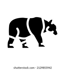panda animal glyph icon vector. panda animal sign. isolated contour symbol black illustration