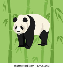 Panda animal isolated vector colorful illustration with bamboo