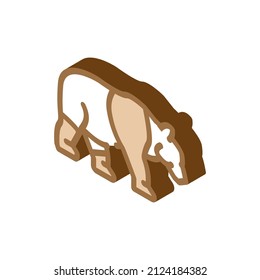 panda animal isometric icon vector. panda animal sign. isolated symbol illustration