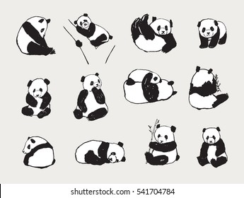 panda animal set