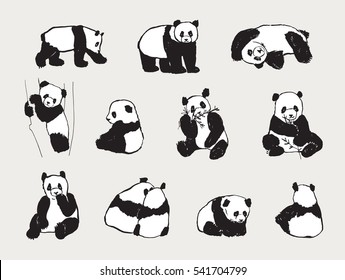 panda animal set