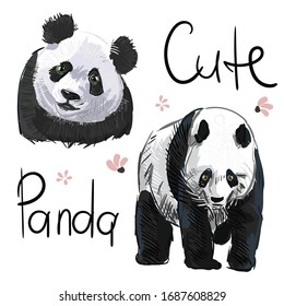 Panda animal .Vector Asian panda bear. Panda isolated on a white bacjground