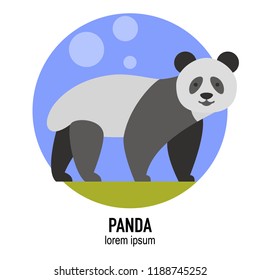 Panda animal vector flat illustration