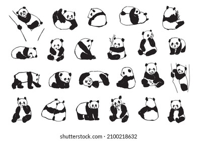 Panda animal vector illustrations set