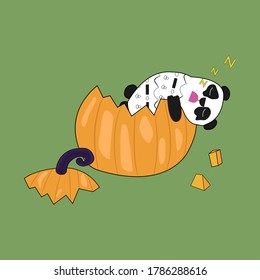 Panda ate pumpkin and fell asleep inside, vector illustration with funny animal character for halloween, for autumn card, print in typography