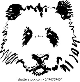 panda avatar head vector illustration