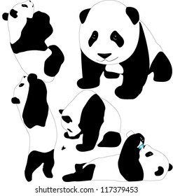 Panda babies vector silhouettes. Layered. Fully editable.