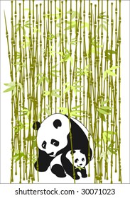 panda with baby