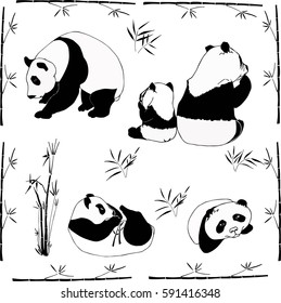 Panda (bamboo bear), black and white card. Vector illustration.
