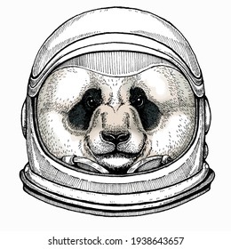 Panda, bamboo bear portrait. Head of big panda. Astronaut animal. Vector portrait. Cosmos and Spaceman. Space illustration about travel to the moon. Funny science hand drawn illustration.