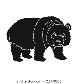 Panda, a bamboo bear. Panda, a rare species of animal single icon in black style vector symbol stock illustration web.