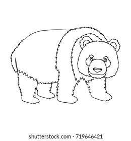 Panda, a bamboo bear. Panda, a rare species of animal single icon in outline style vector symbol stock illustration web.