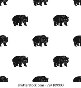 Panda, a bamboo bear. Panda, a rare species of animal single icon in black style vector symbol stock illustration web.