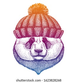 Panda, bamboo bear. Ski, skier animal wearing woolen knitted hat. Christmas time. Cartoon character for little children. Kids print for tee