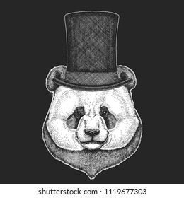 Panda, bamboo bear. Top hat, cylinder. Hipster animal, gentleman. Classic headdress. Print for children t-shirt, kids clothing.