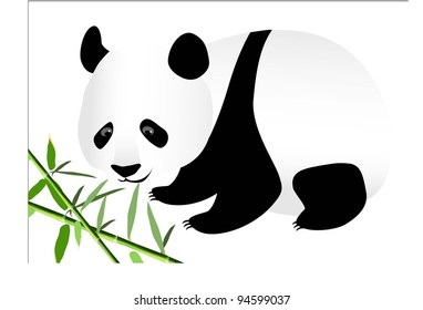 Panda (bamboo bear a vector image)