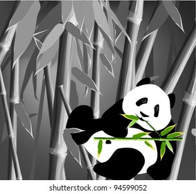  Panda (bamboo bear a vector image)
