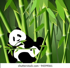  Panda (bamboo bear a vector image)