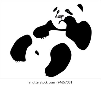 Panda (bamboo bear a vector image)