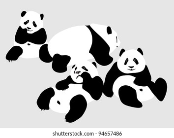 Panda (bamboo bear a vector image)