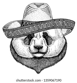 Panda, bamboo bear wearing traditional mexican hat. Classic headdress, fiesta, party.