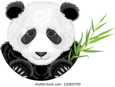 Panda with bamboo branch. Vector