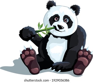 Panda bambú Cute Bear Vector ilustración Vector animales asiáticos